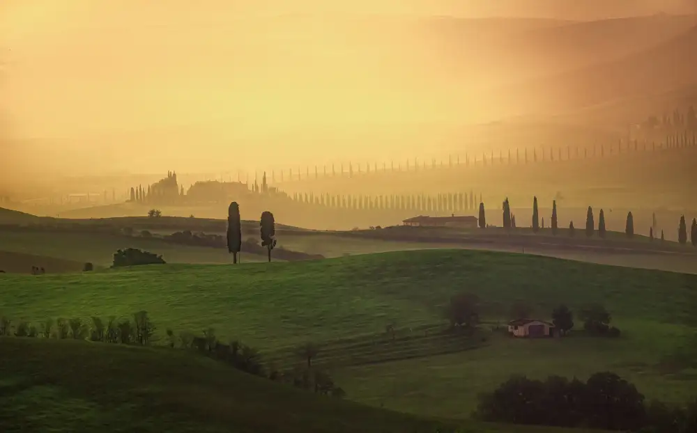 Yang, Jianping: toscana