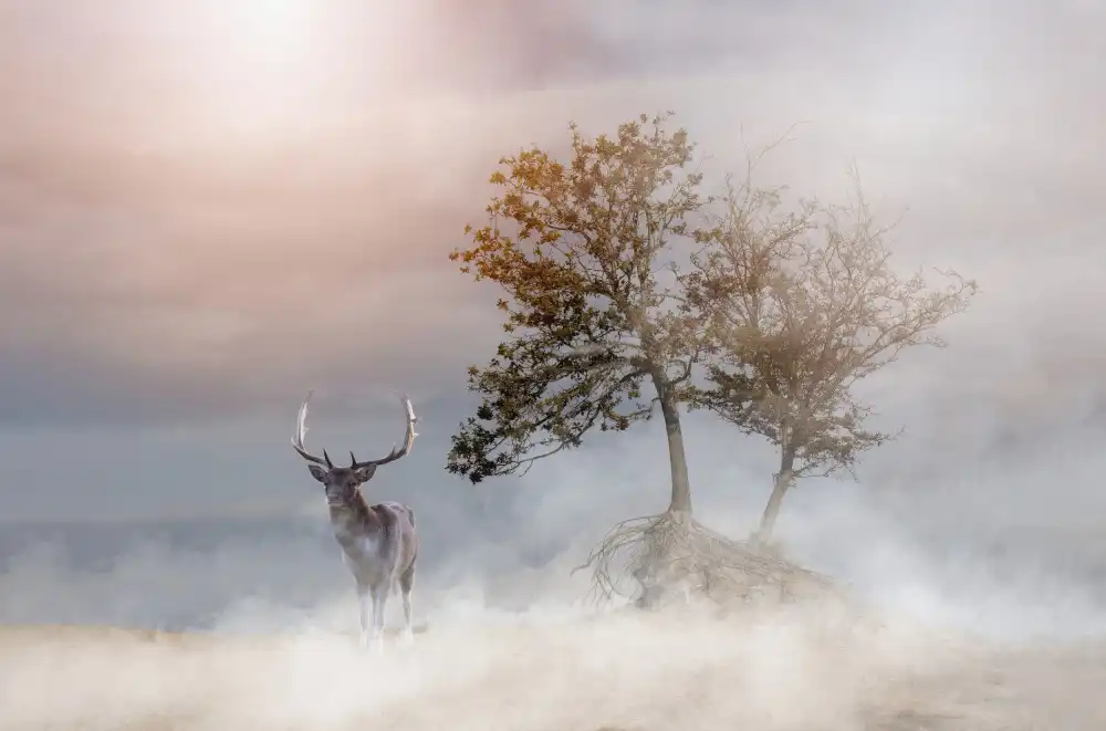 Worseling, Natascha: The beauty of nature...