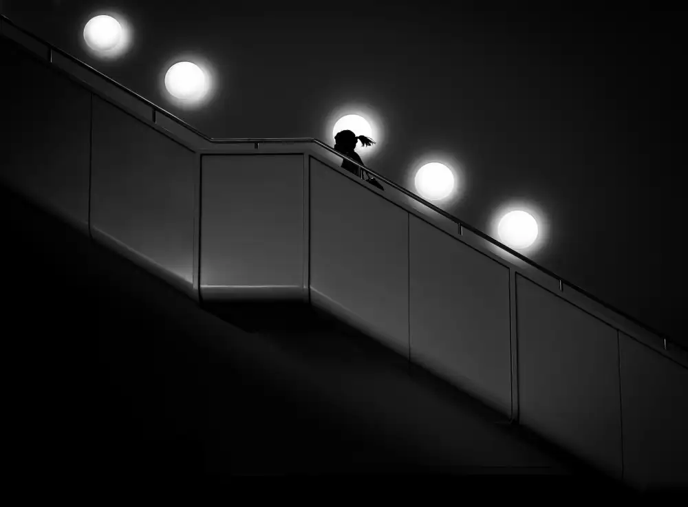 Timar, Andreas: Die Treppe hoch