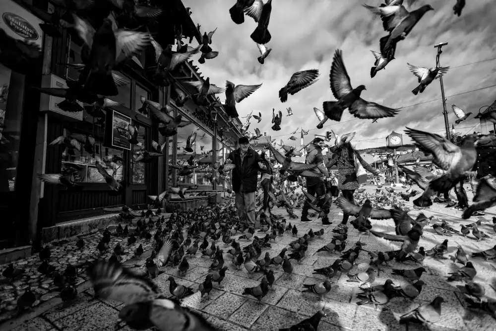 Kortan, Merthan: Sarajevo-Platz...