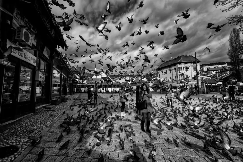 Kortan, Merthan: Sarajevo-Platz....