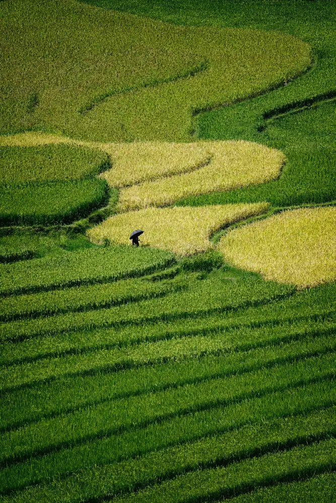 Buliga, Gina: Il nostro viaggio verso il Vietnam