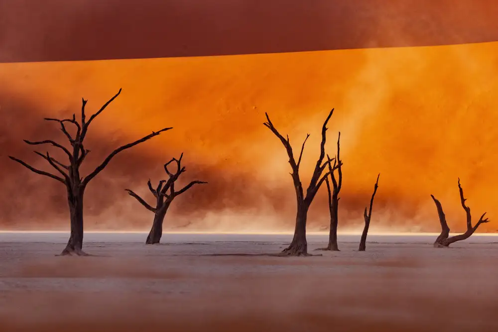 Buliga, Gina: Namibia: lo spirito della natura selvaggia
