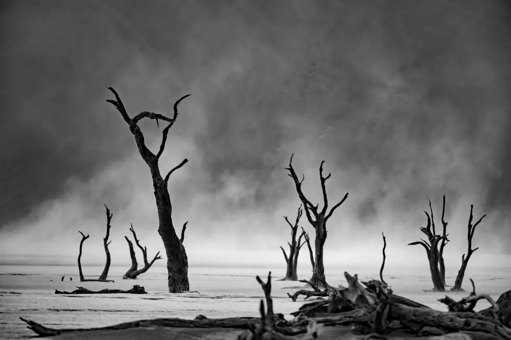 Buliga, Gina: Namibia: lo spirito della natura selvaggia