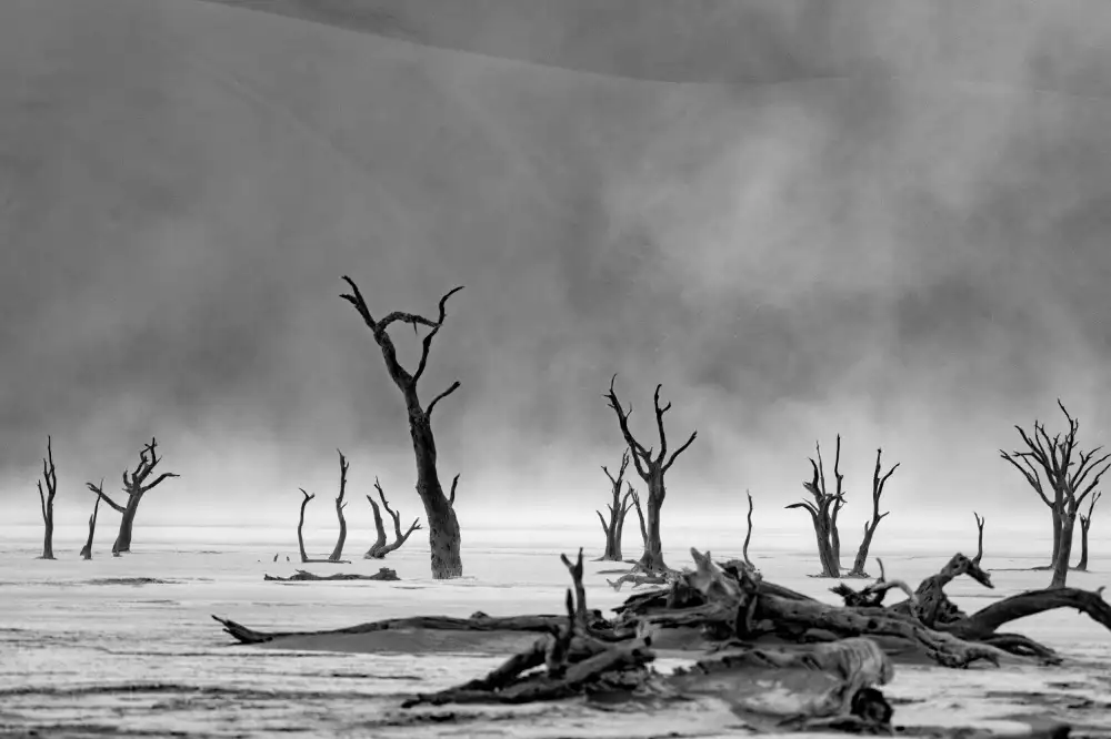 Buliga, Gina: Namibia: lo spirito della natura selvaggia