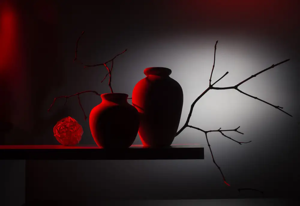 Popov, Evgeniy: From the series Red and Black