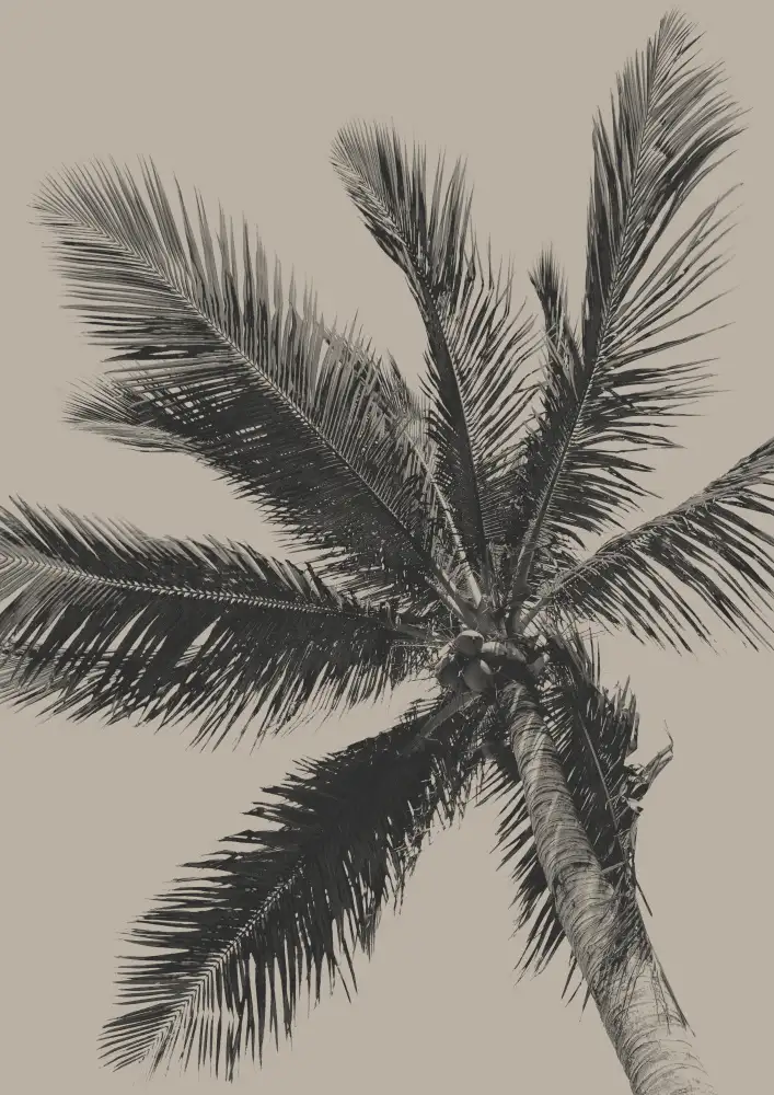 Ünsoy, Eda: Palme