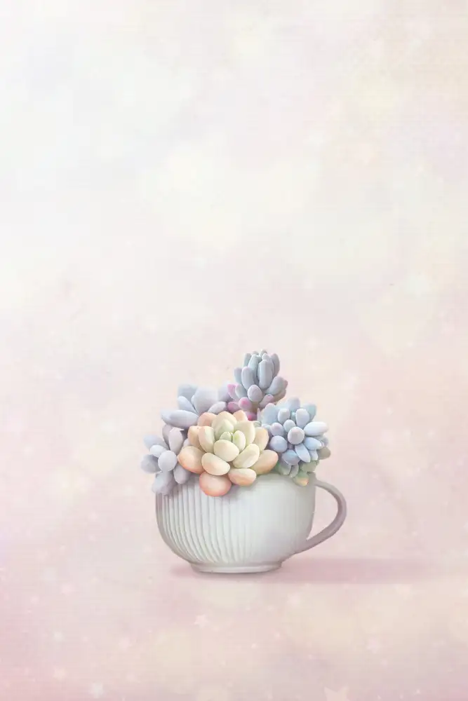 Thai, Xuan: Succulento