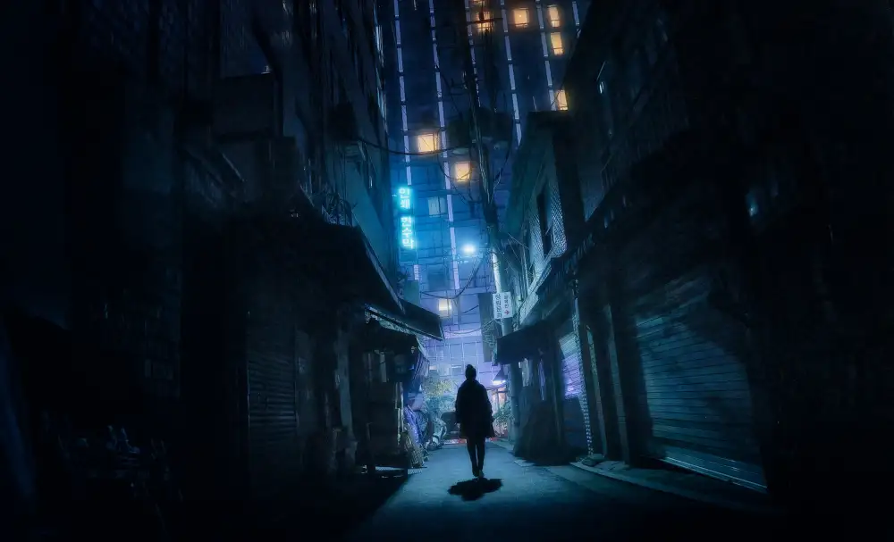 la, De Javier: Seoul from Shadows