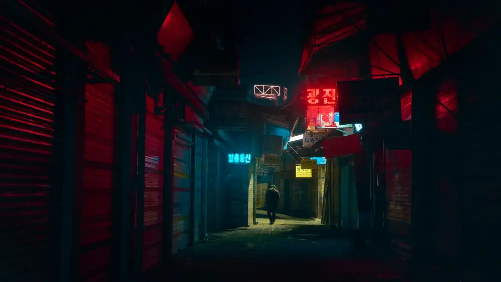 la, De Javier: Seoul from Shadows