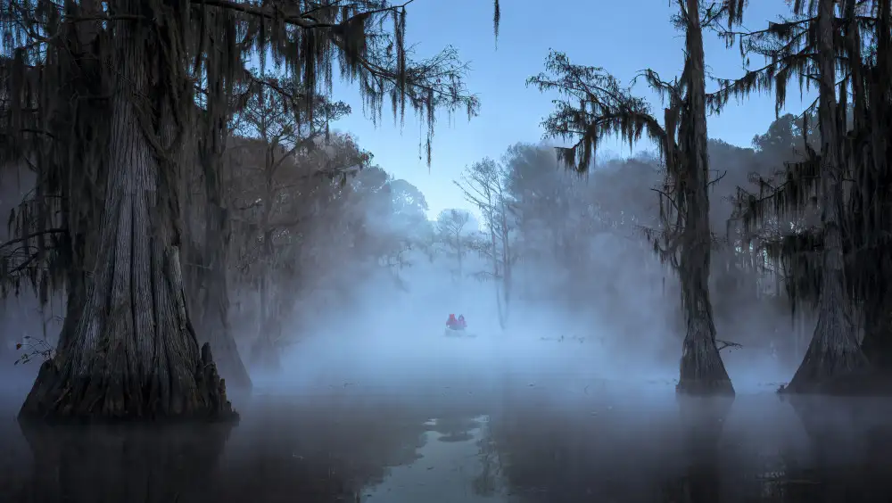 P., Ruiqing: Mañana brumosa en el lago Caddo