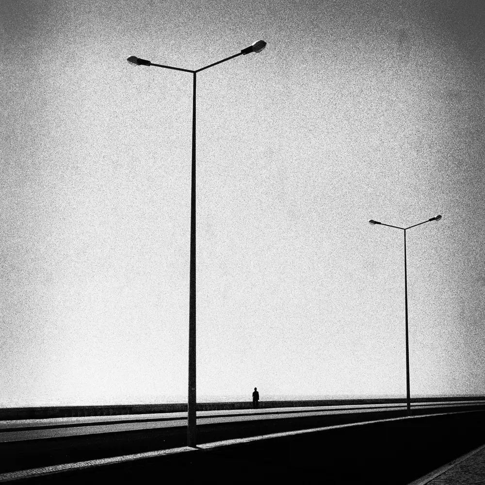 Abrantes, Paulo: Frangia Lunatica