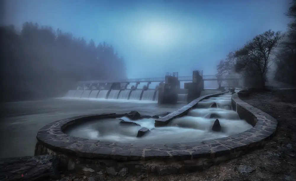 Krier, Guy: The Fish Ladder