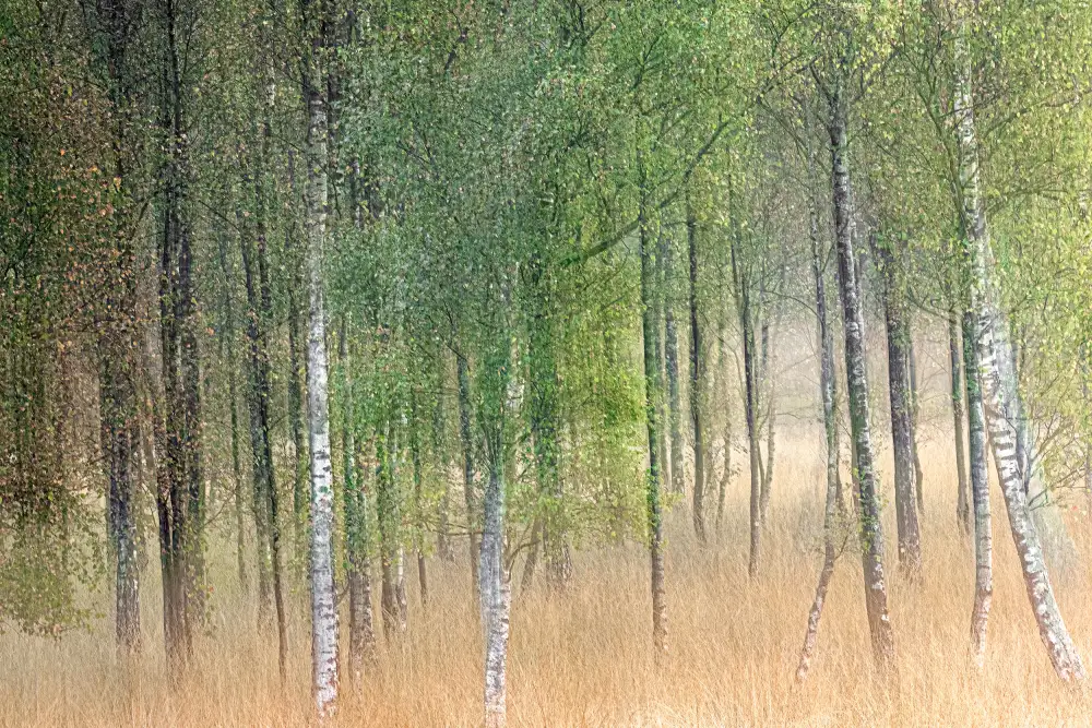Goossens, Henk: Winkende Bäume
