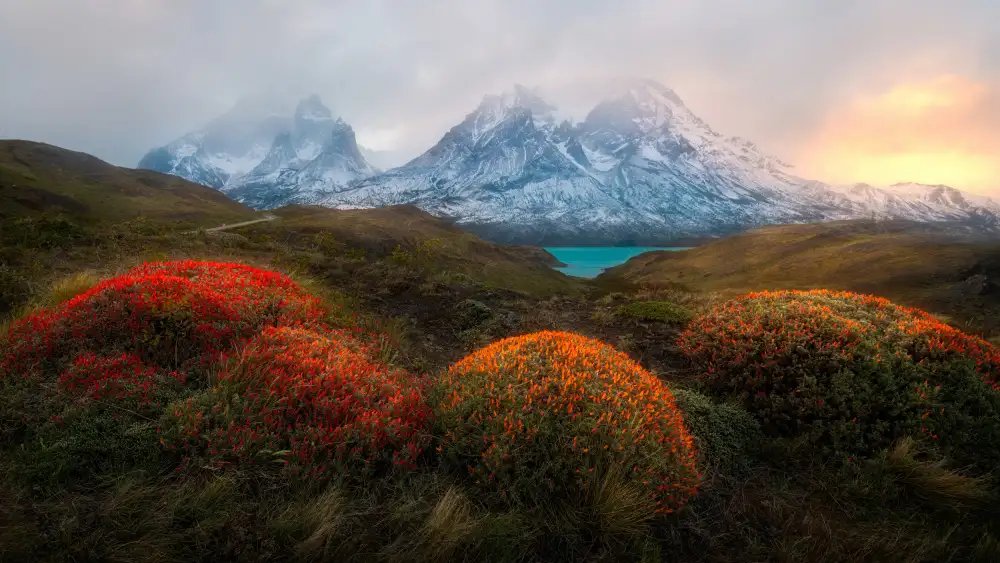 Wei, Rong: Primavera en la patagonia
