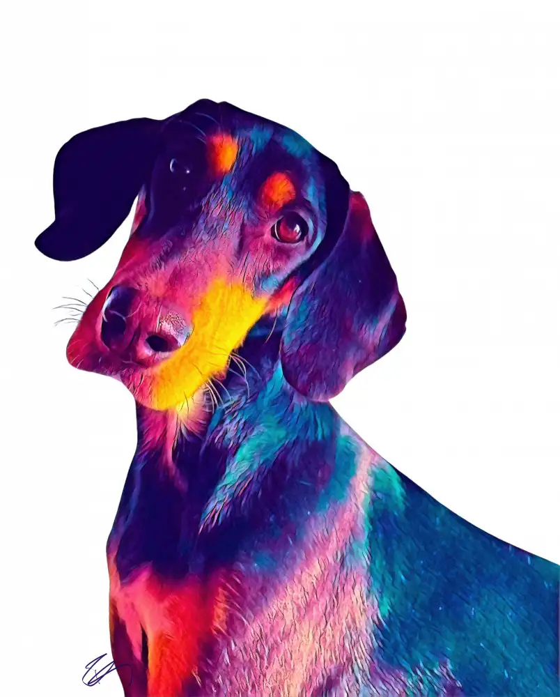 Day, Ruth: Finnhund