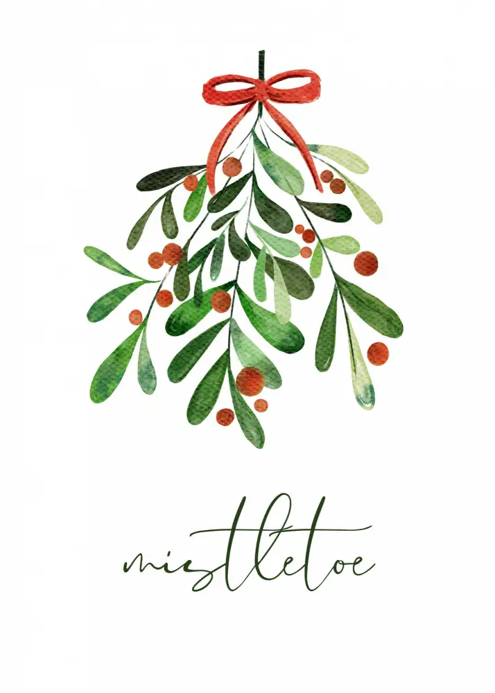 N., Kristina: Christmas Mistletoe