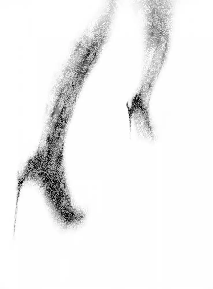 Schottstaedt, Erik: Schneewittchen