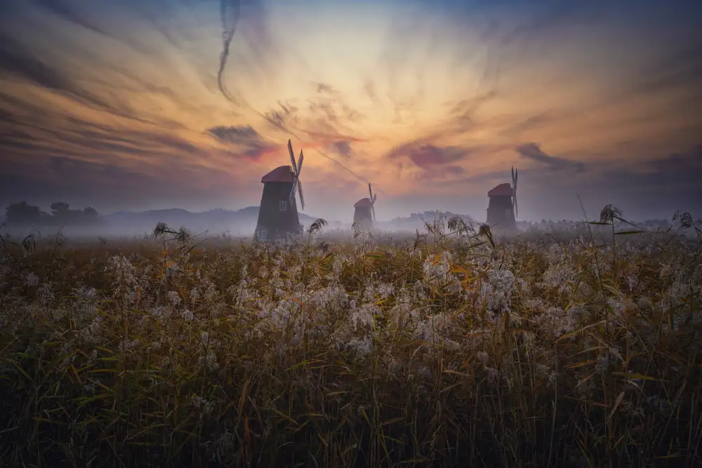 Seo, Tiger: Before sun rise on Sorae