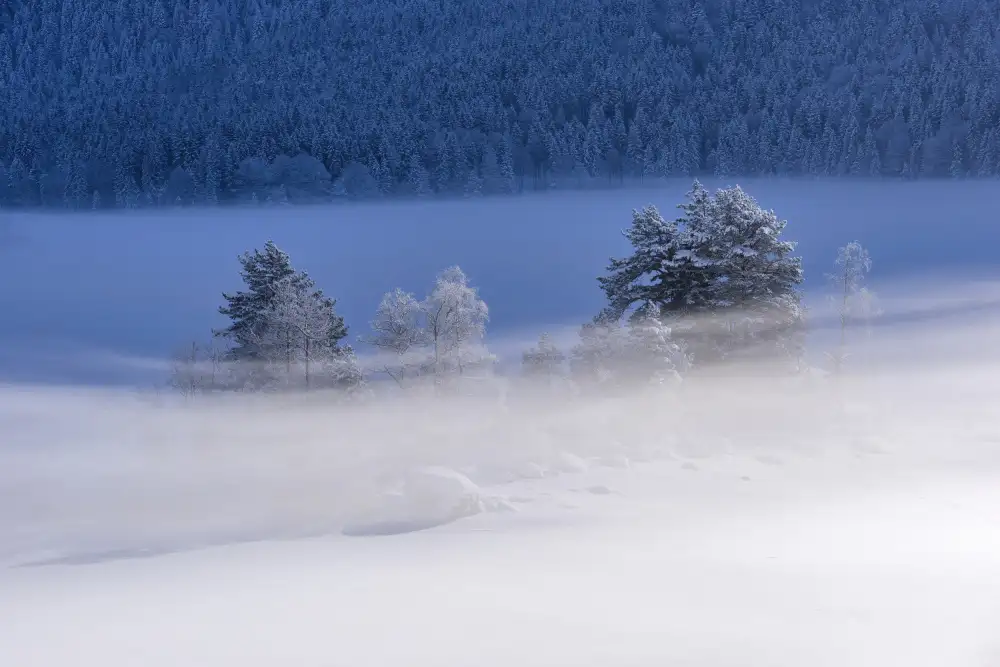 Maier, Norbert: Zamrzlé jezero