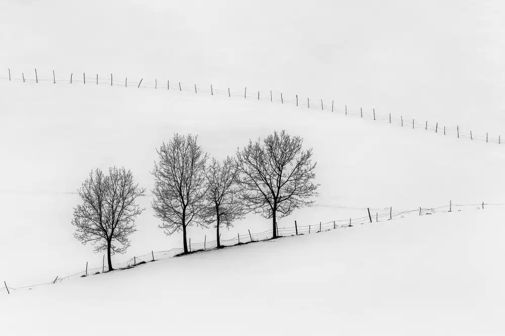 Prioteasa, Sebastian: Geometria invernale