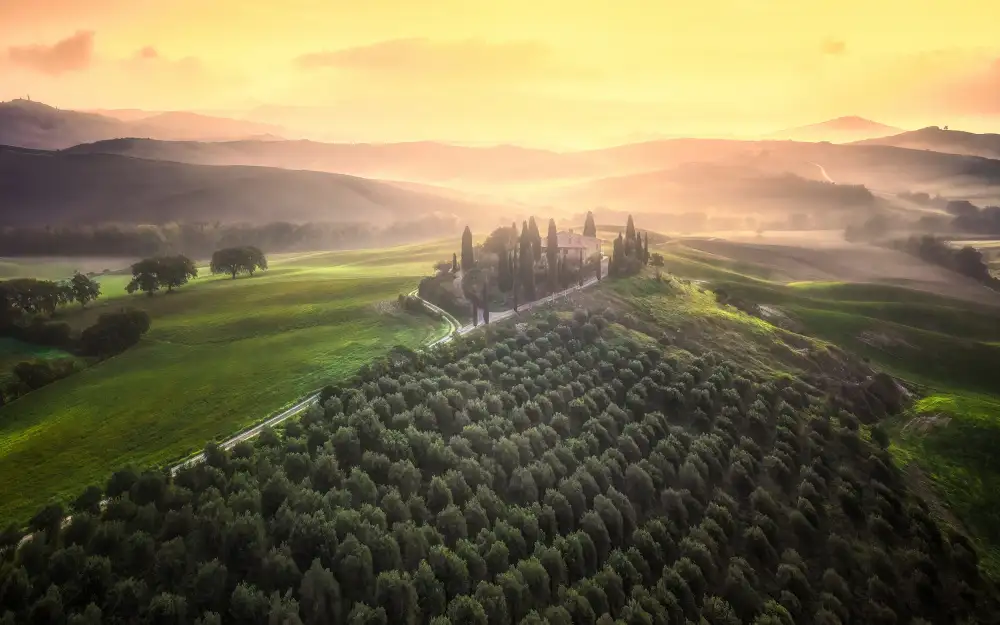 Yang, Jianping: mañana toscana