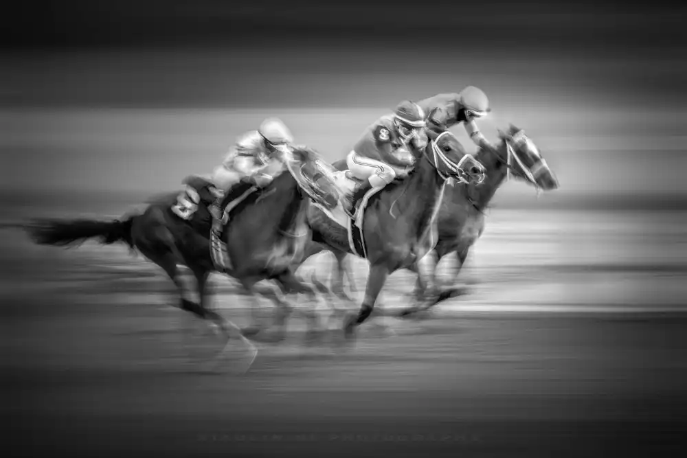 Ni, Xiaolin: Horse Race
