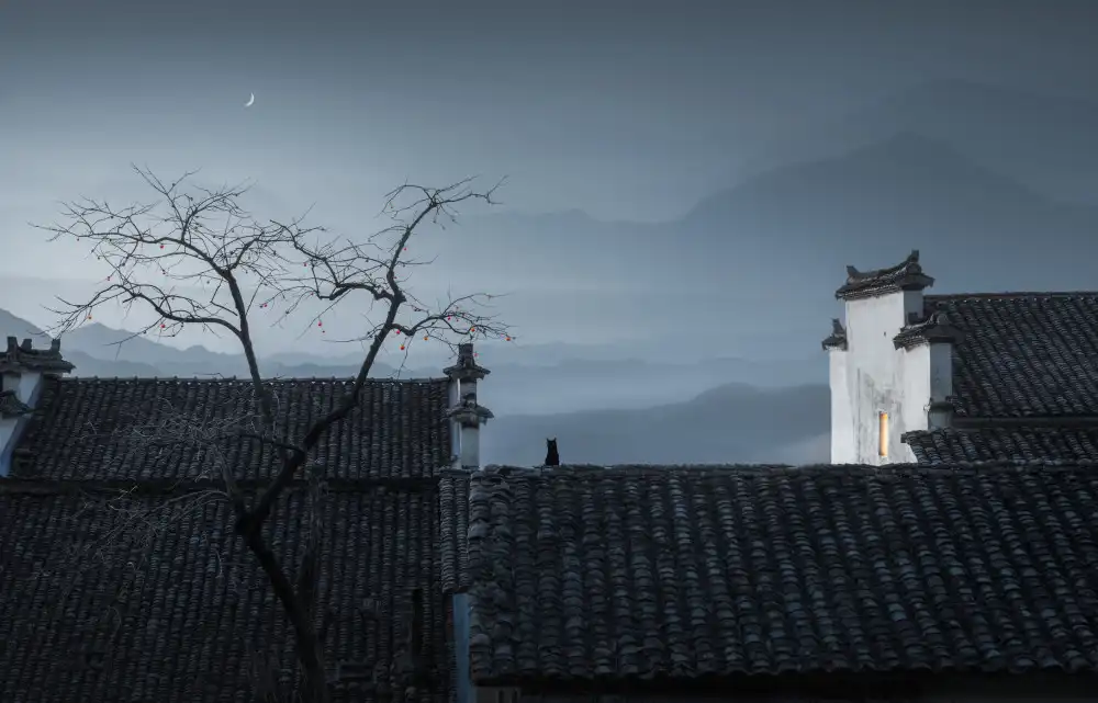 Ye, NingYun: gato en el techo