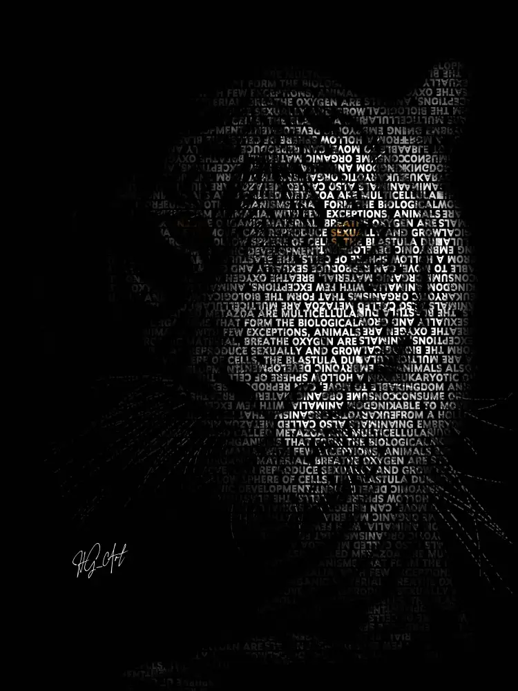 Oladapo, Ojenike: Der Tiger