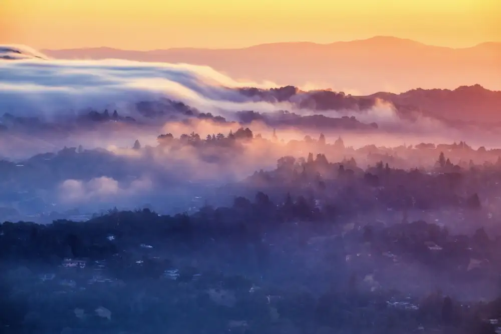 Qiu, Jenny: Moring Fogs at Berkeley