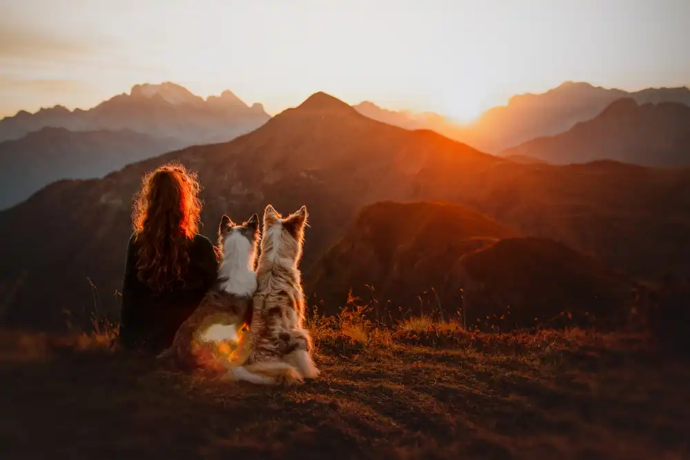 Shandor, Ve: Sunset vibe