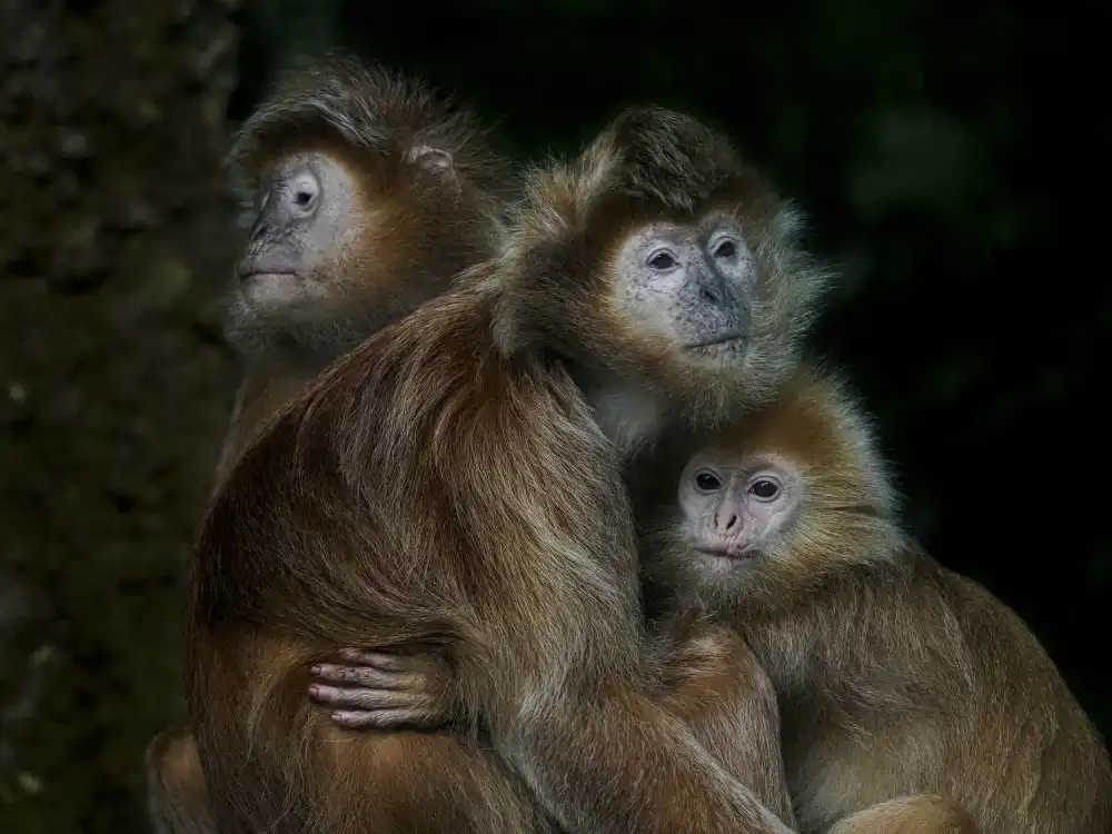 Sukrisman, Lugyanti: Familie