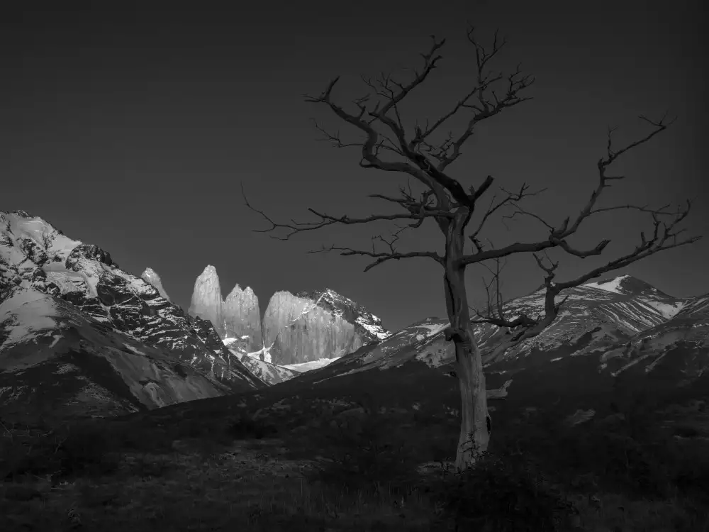 P., Ruiqing: Stand by me