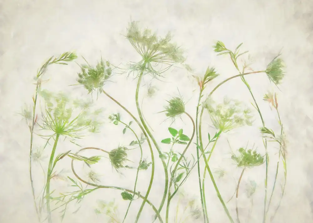 Zhou, Fangping: Wild Herb Garden