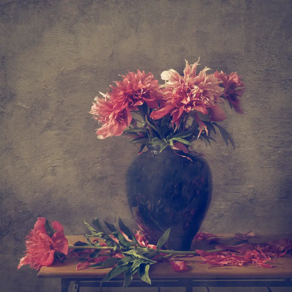 Velzen, van Monique: Nature morte Pivoine