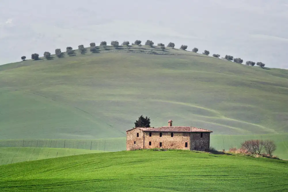 Basaglia, Gianni: The spine of the dragon