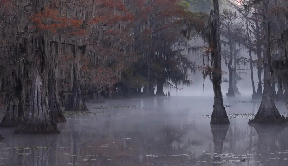 Huang, Johnson: Lake Caddo