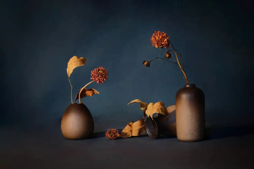 GaoSL: flor seca