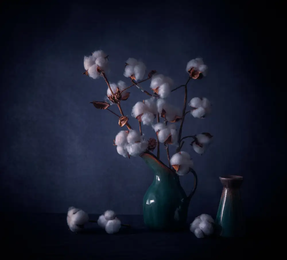 May, G.: Flores de algodon