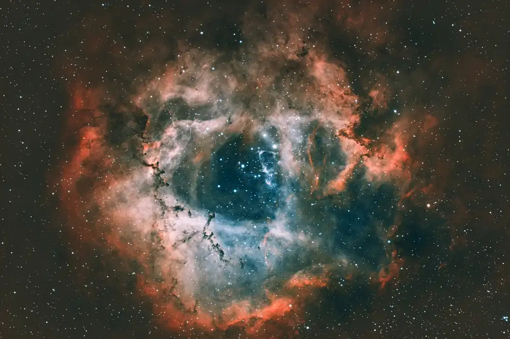 Yu, Zhen James: Nebulosa Rosetta
