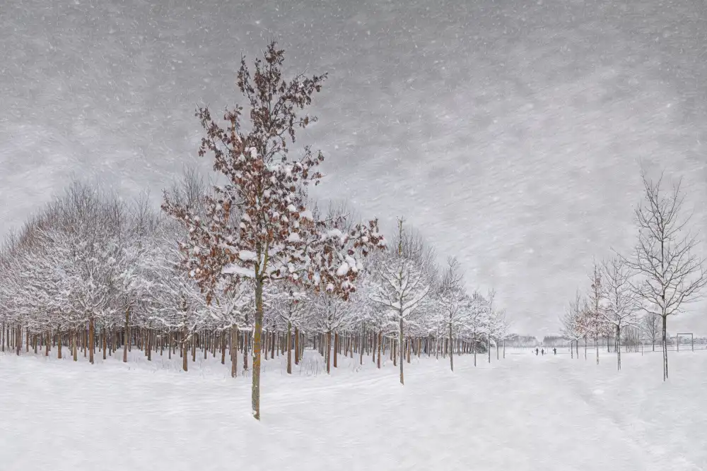 Schleicher-Schwarz, Roswitha: Campagna invernale
