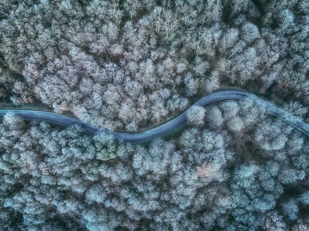 Krier, Guy: winter road