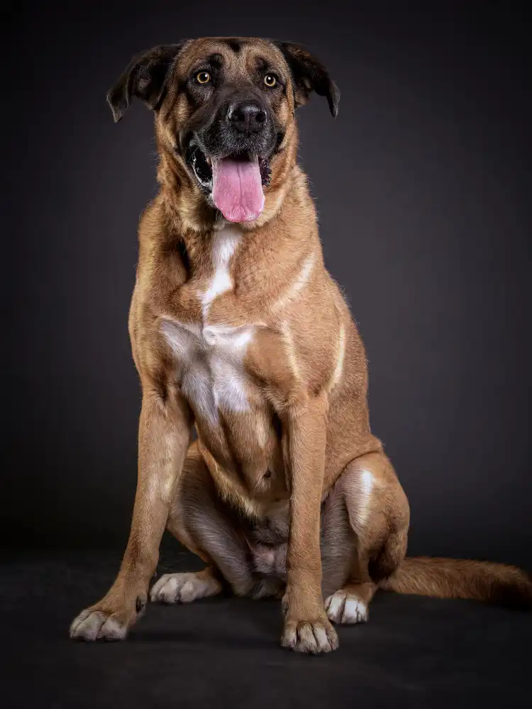 Puerto, del Javier: Big Lucky