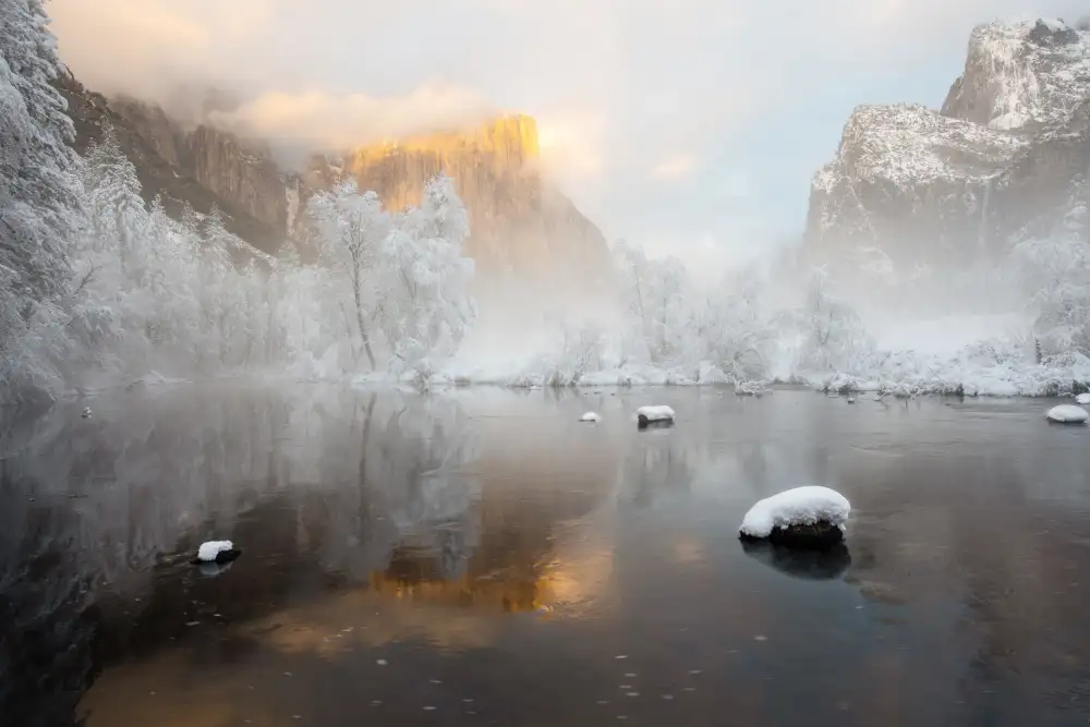 Xie, April: Winter Wonderland