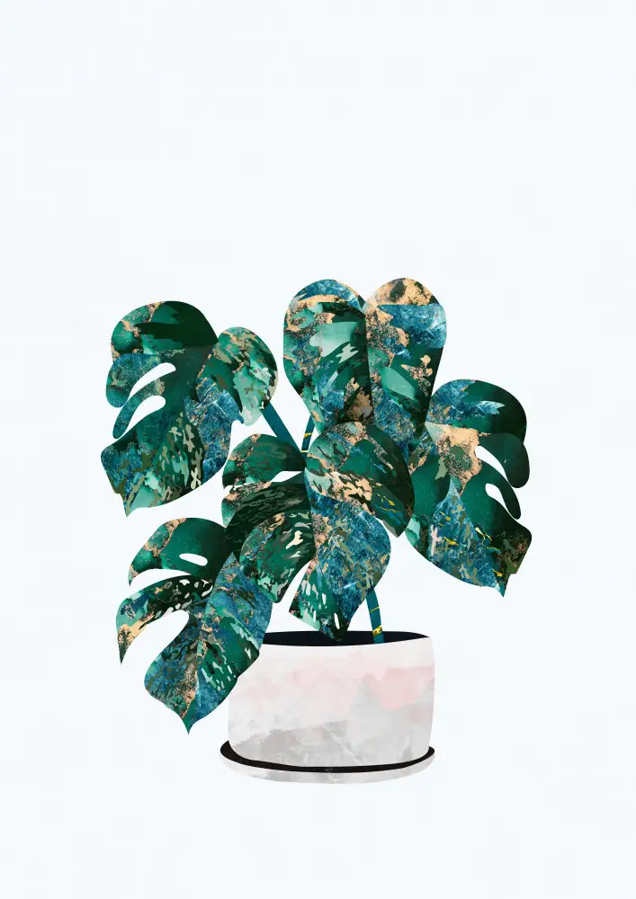 Manovski, Sarah: Plante d'intérieur Monstera