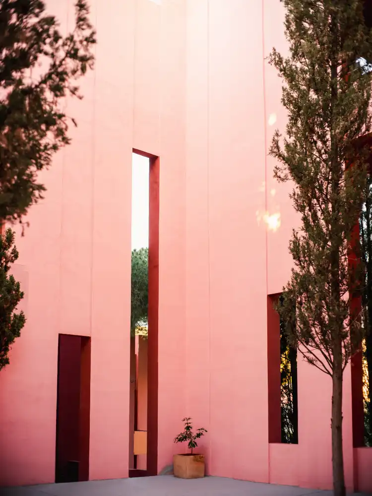 Zwart, Raisa: Muralla Roja