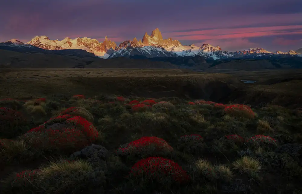 Wei, Rong: Jaro v Torres del Paine