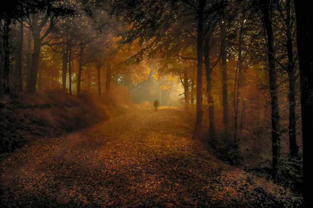 Traverso, Alessandro: Strokes of light on a gloomy day