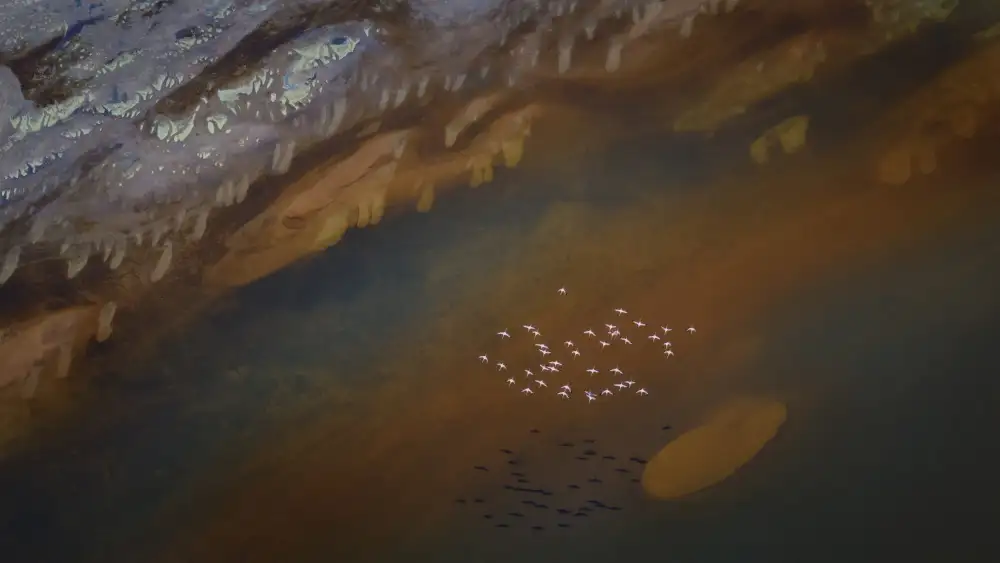 Xu, Sheila: Volando sobre el lago mágico