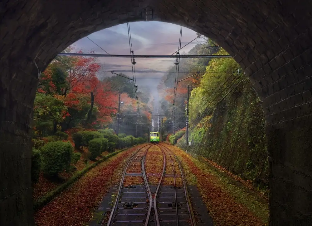 Tang, D. Lisa: Der Zug,Japan